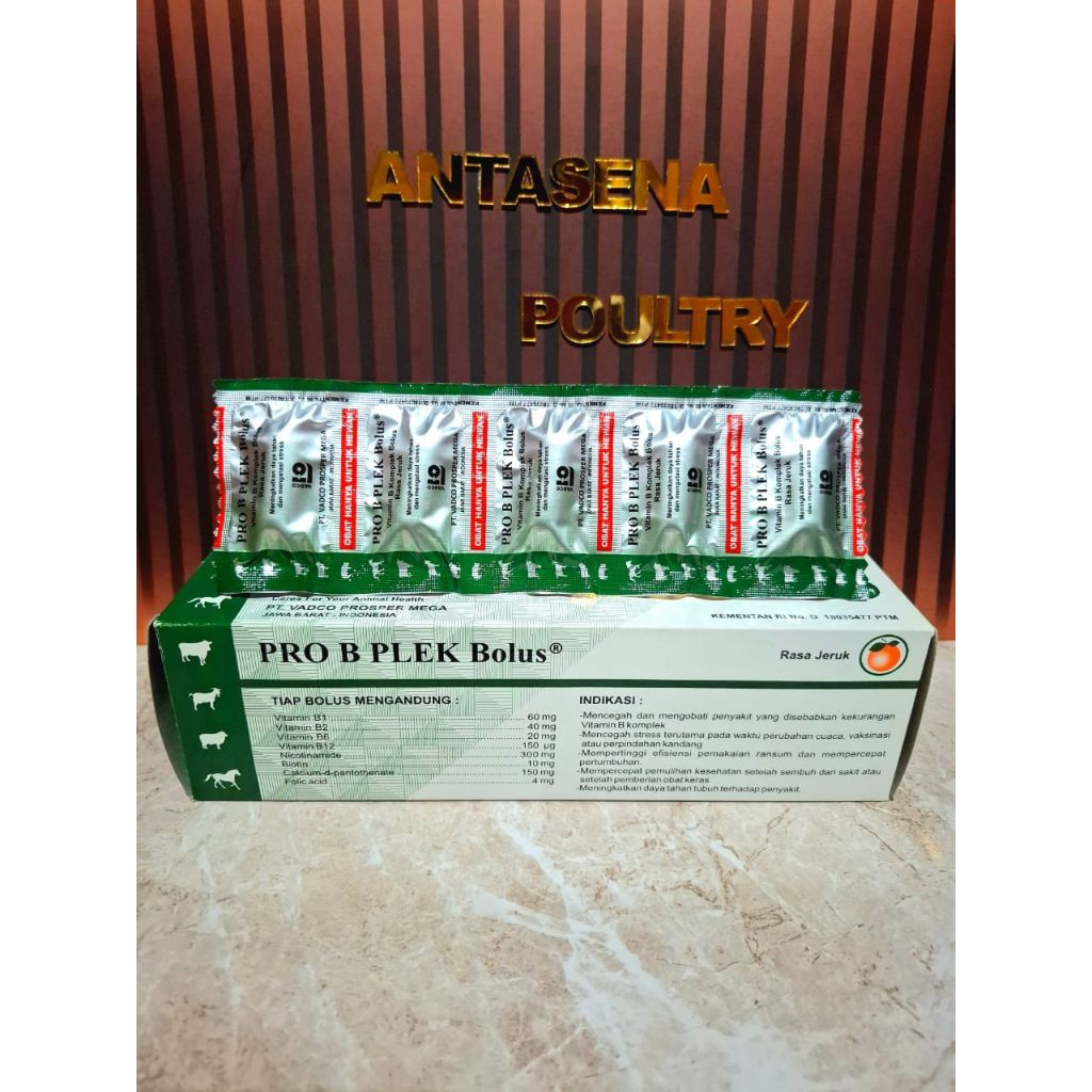 PRO B PLEK vitamin b komplek bolus