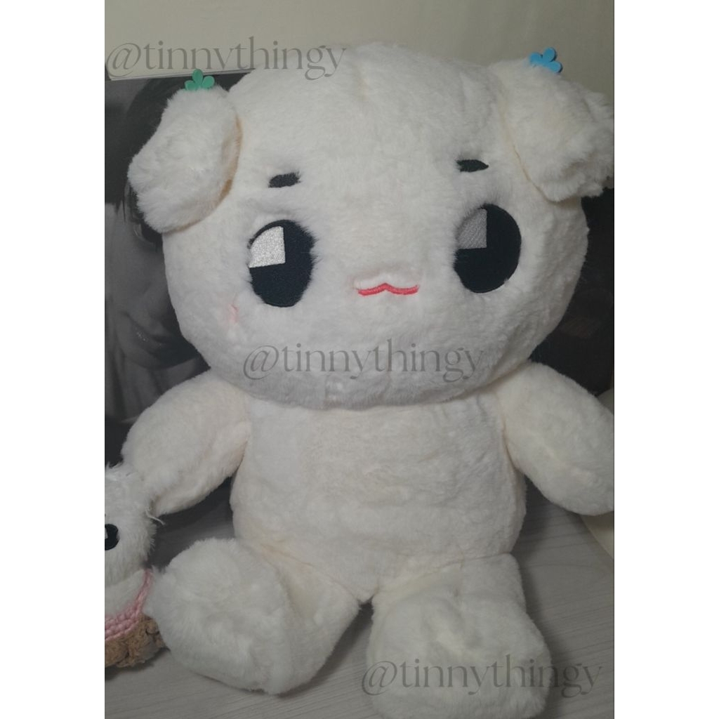 tyongya 40cm