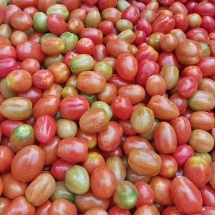 

Tomat Merah
