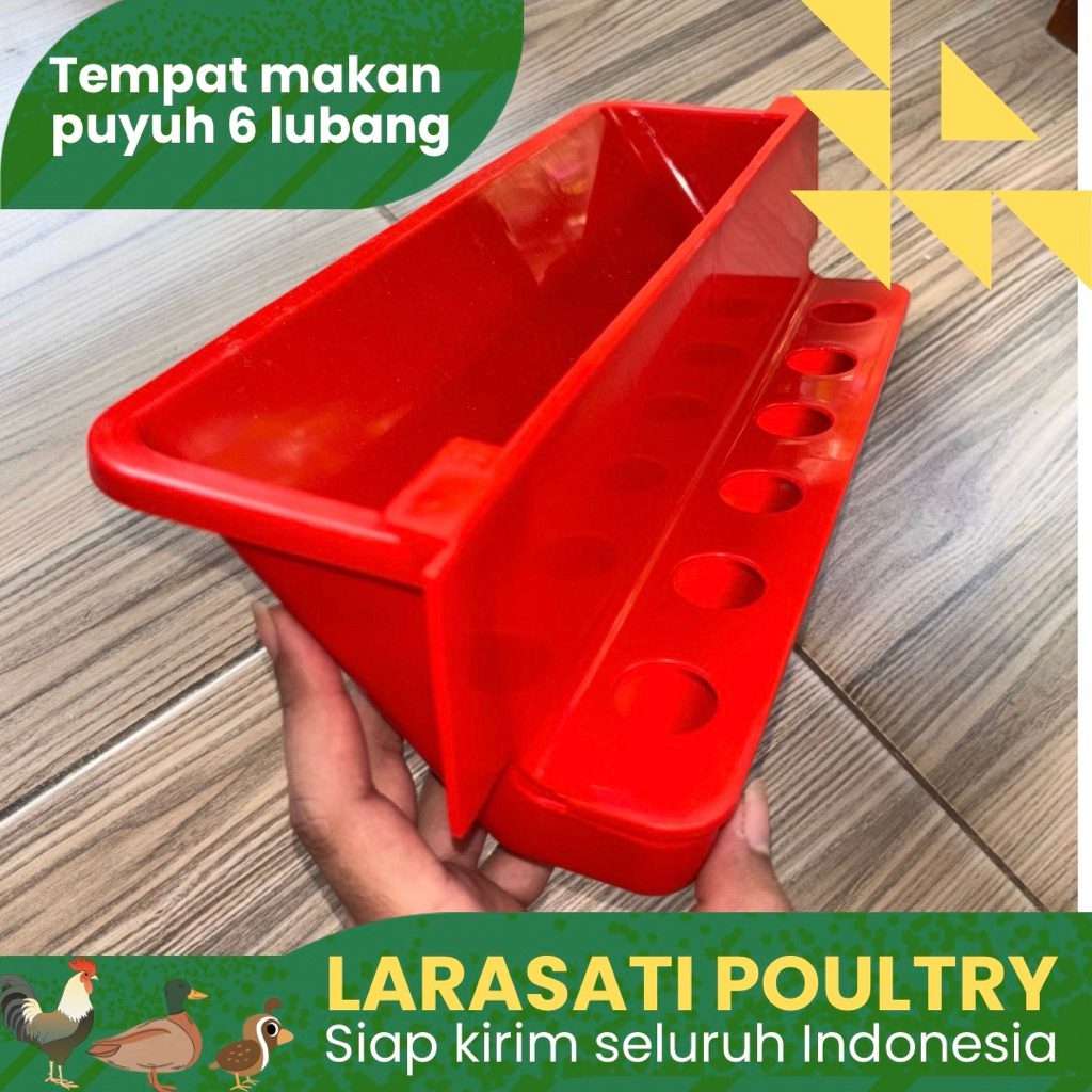 Tempat makan puyuh petelur | tempat pakan puyuh plastik | tempat makan burung puyuh
