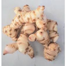 

lengkuas laos 500 gram