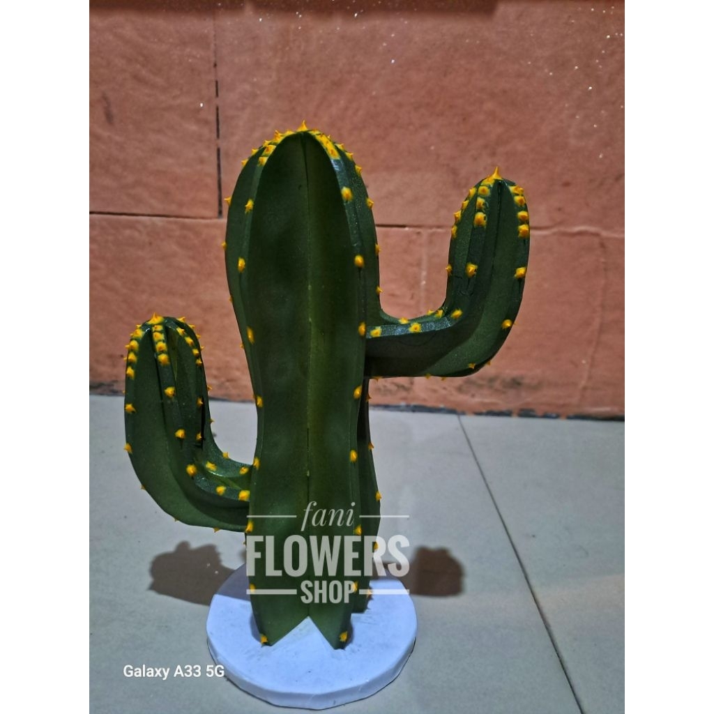 Kaktus koboi duri bercabang+tatakan