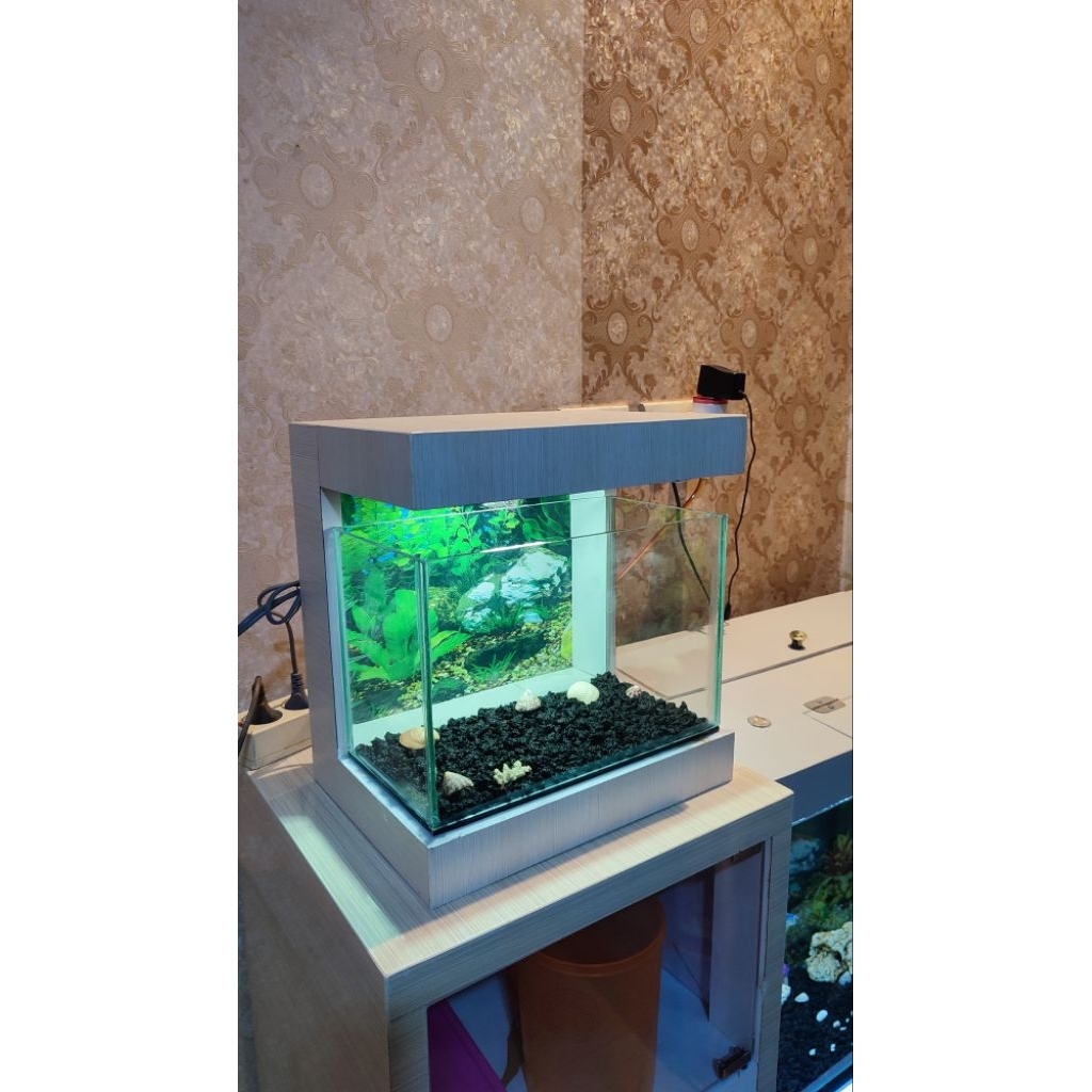 AQUARIUM MINIMALIS