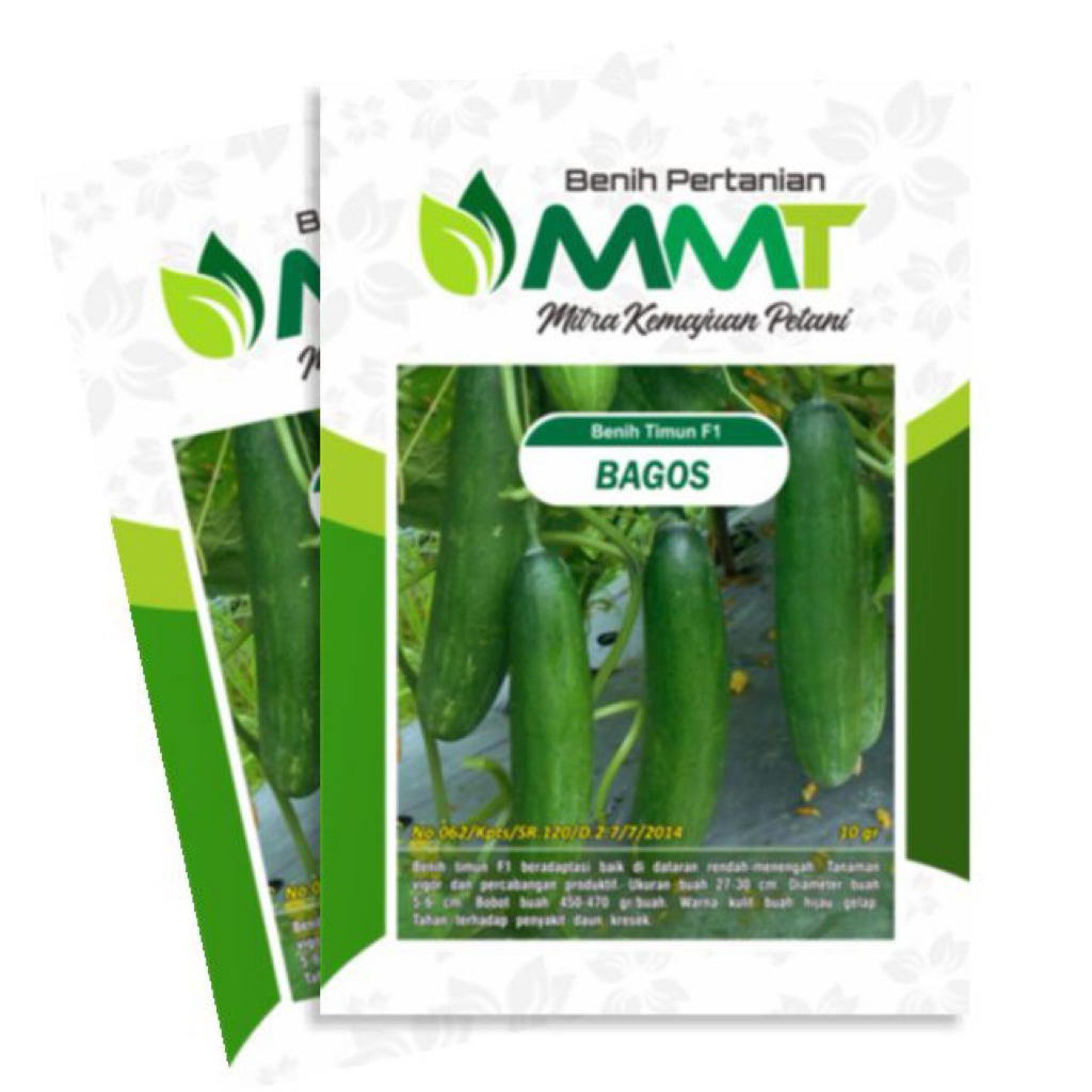 Benih Timun F1 BAGOS MMT SEED 20 Gram - Bibit Timun BAGOS