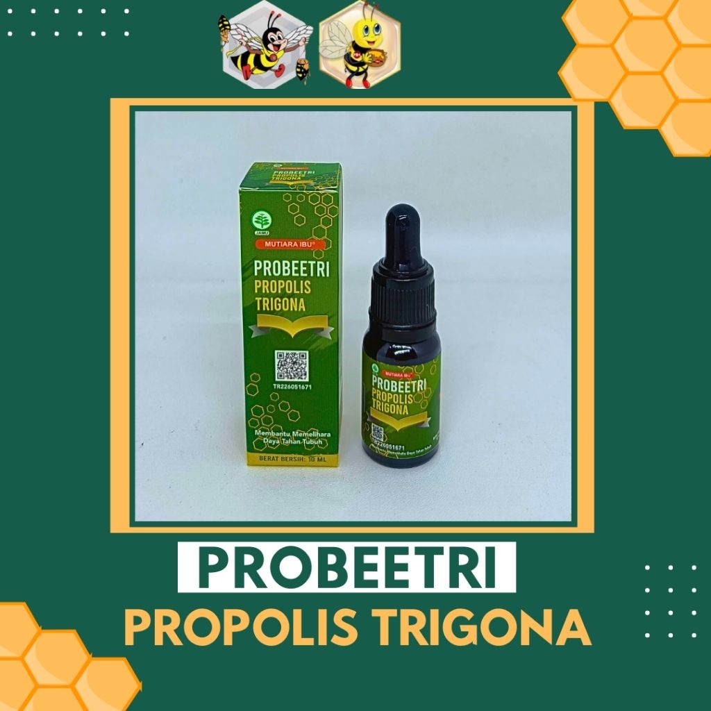 PROPOLIS TRIGONA