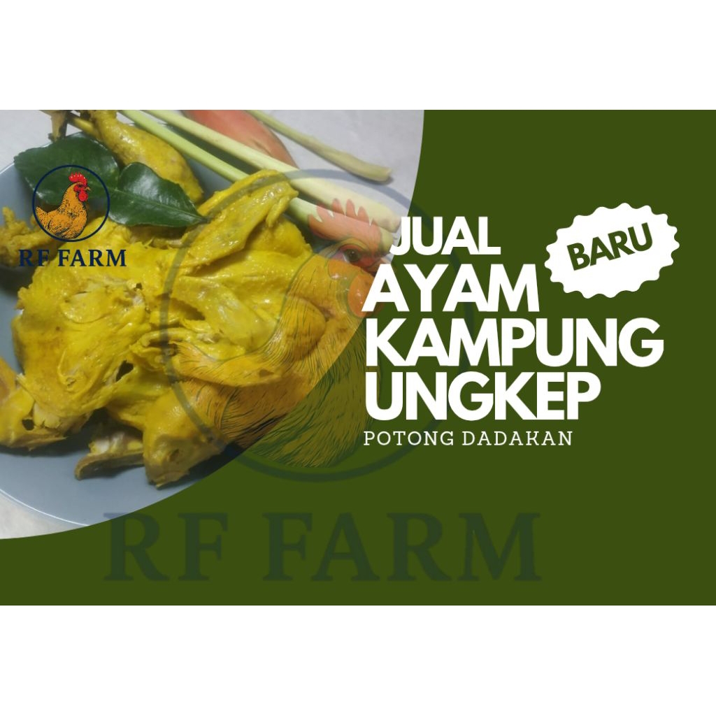 

Ayam Kampung Ungkep bumbu kuning 1ekor