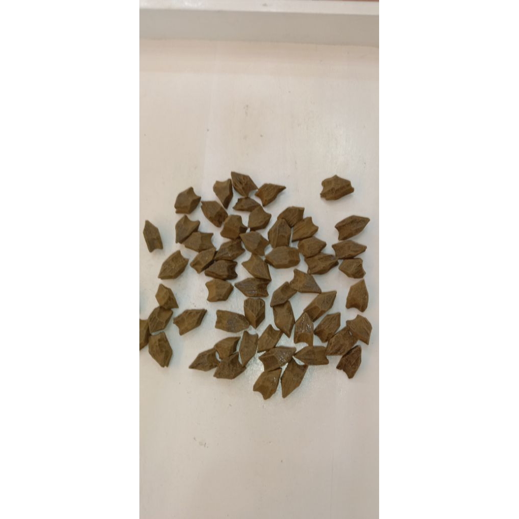 GAHARU Sanai AS MAROKI 100 GR / SANAI MERAUKE / KAYU GAHARU MERAUKE / SANAI MERAUKE / PENGHARUM RUAN