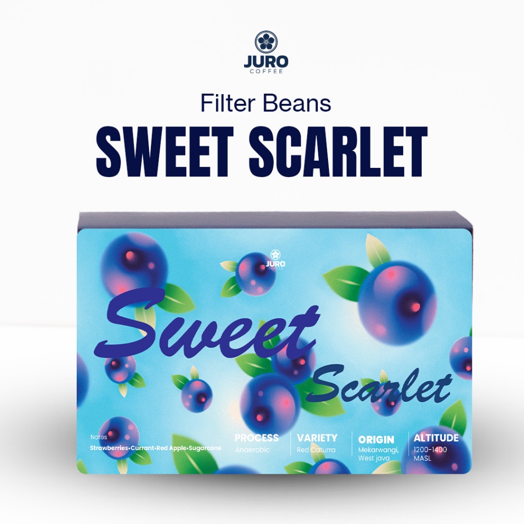 

Filter Coffee Beans Mekarwangi, West Java | Sweet Scarlet