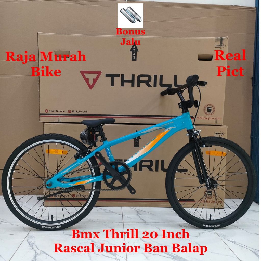 Sepeda Bmx 20 Inch Thrill Rascal Junior Ban Balap Sepeda Bmx Thrill Rascal Junior 20 Inch