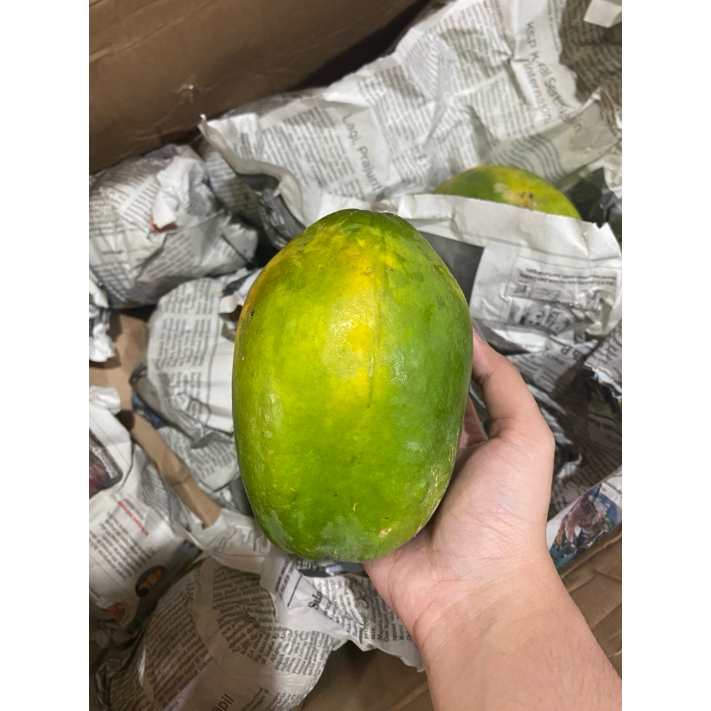 

PEPAYA HAWAI ENAK MANIS TERMURAH