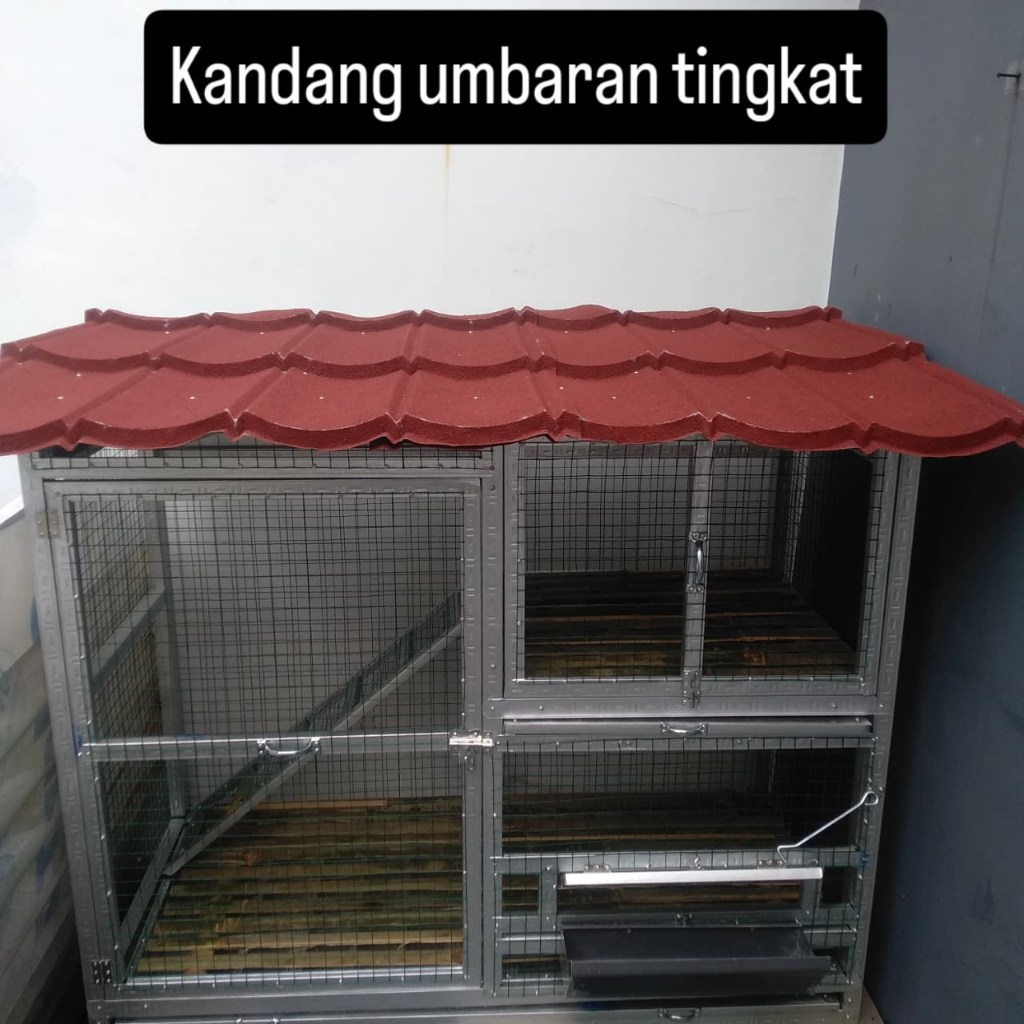 kandang ayam umbaran ayam tingkat