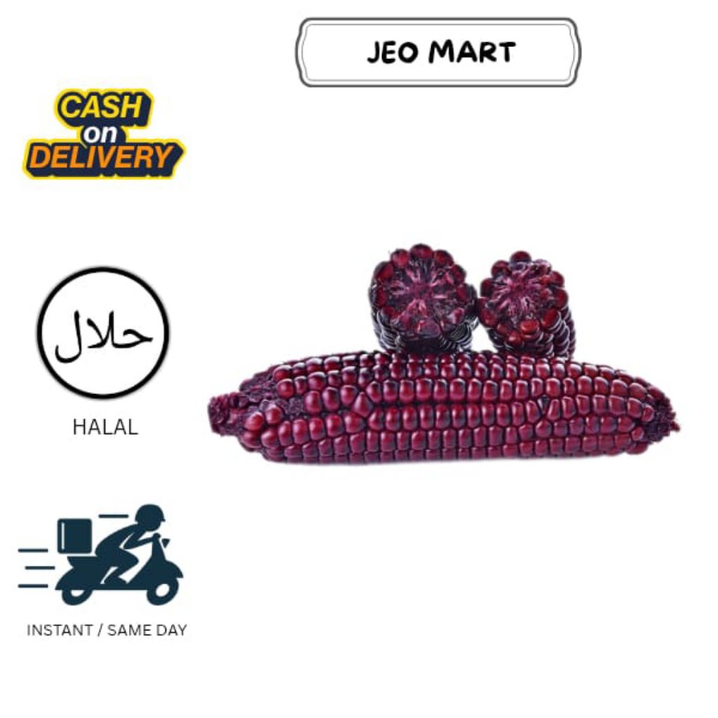 JAGUNG KETAN UNGU FRESH 1 KG - KETAN PUTIH