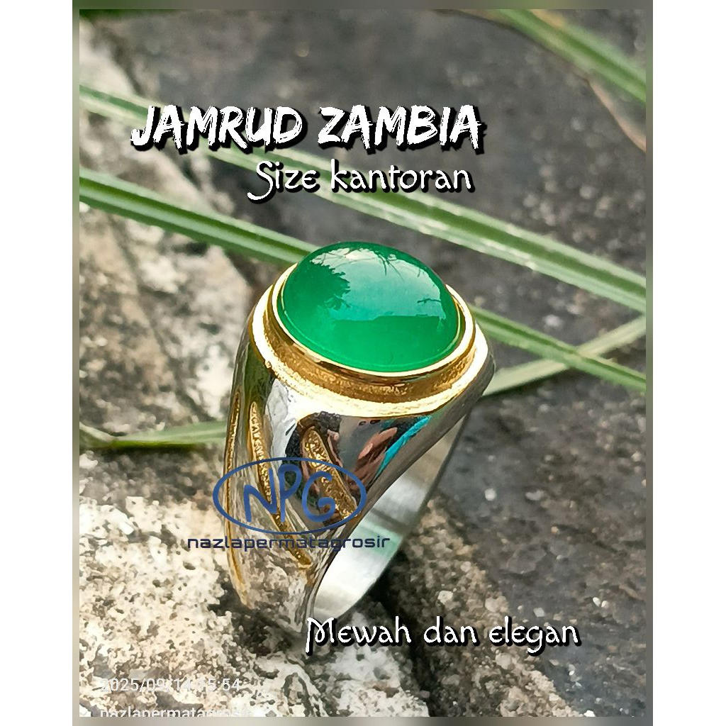 NATURAL JAMRUD ZAMBIA MEWAH SIZE MINIMALIS