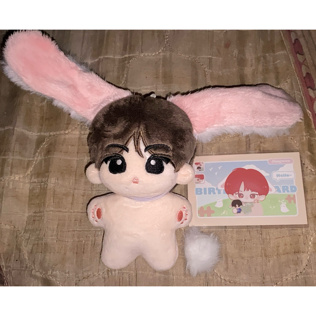 WTS JUAL DOLL JUNGWON RABBIT WON