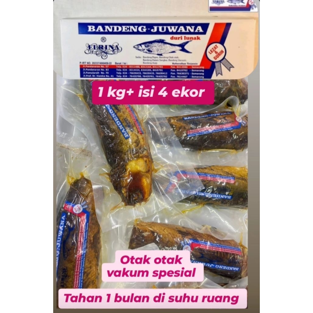 Otak Otak Bandeng Juwana Elrina Semarang