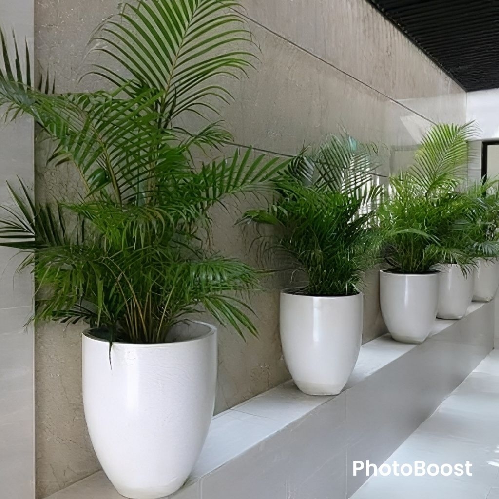 pot tanaman teraso model gelas | pot terrazzo | pot tanaman terazzo