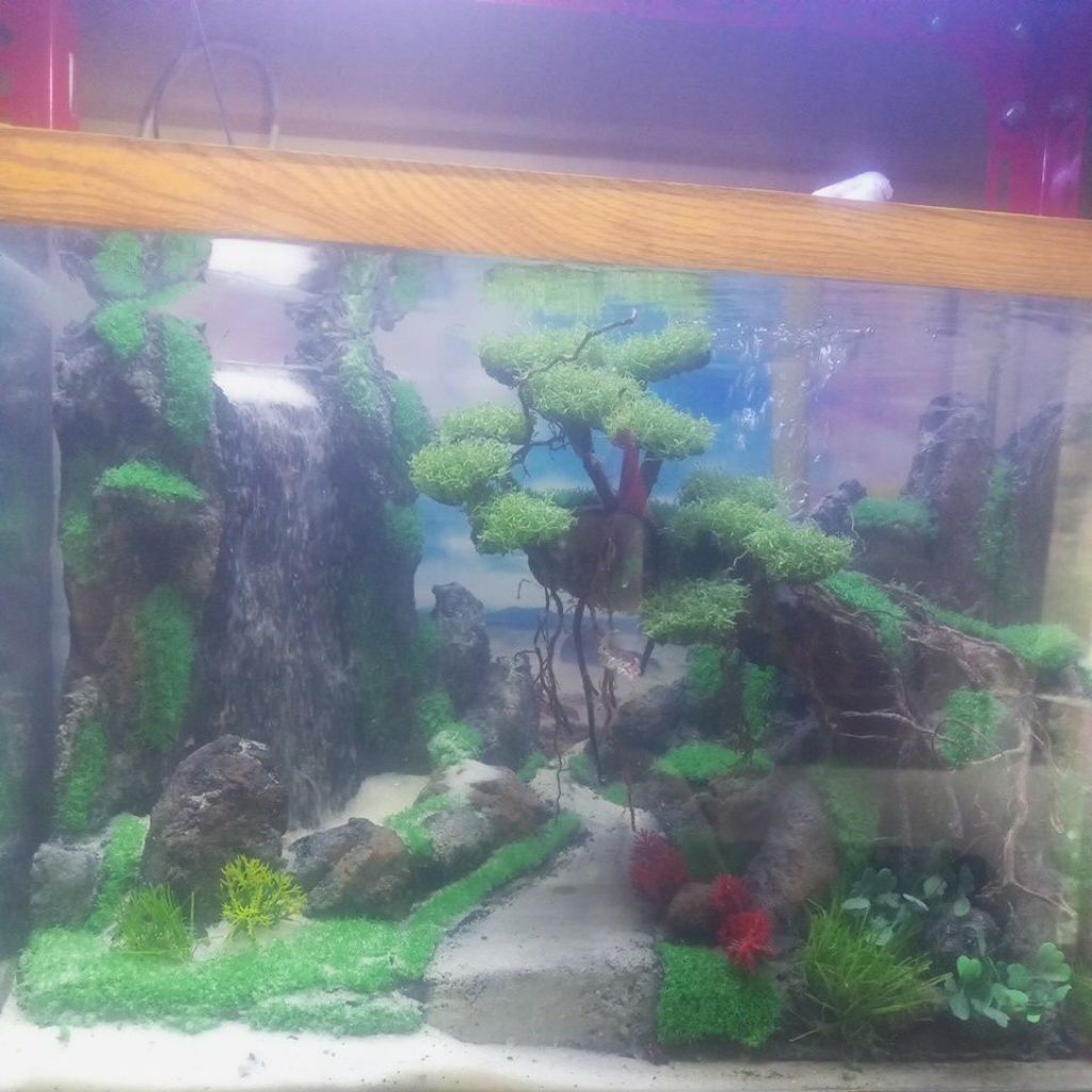 hardscape air terjun 40.20.25