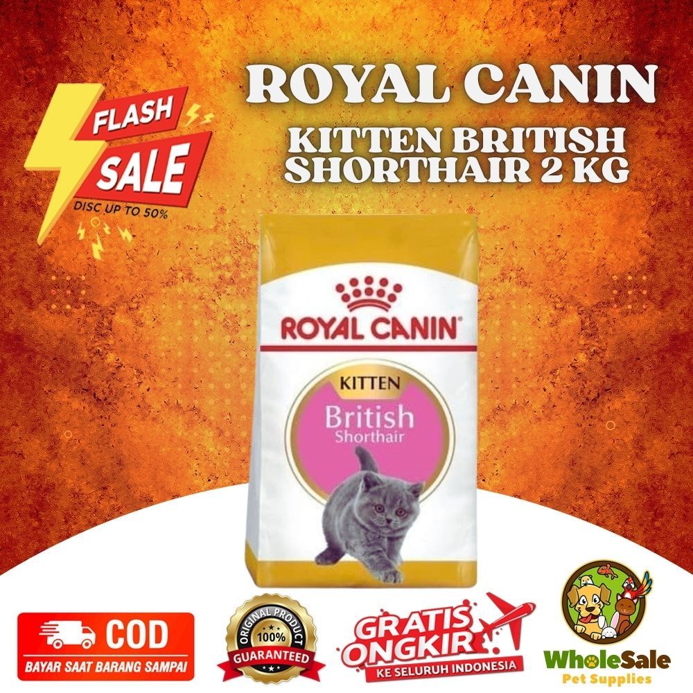 Makanan Kucing Royal Canin Kitten British shorthair 2kg