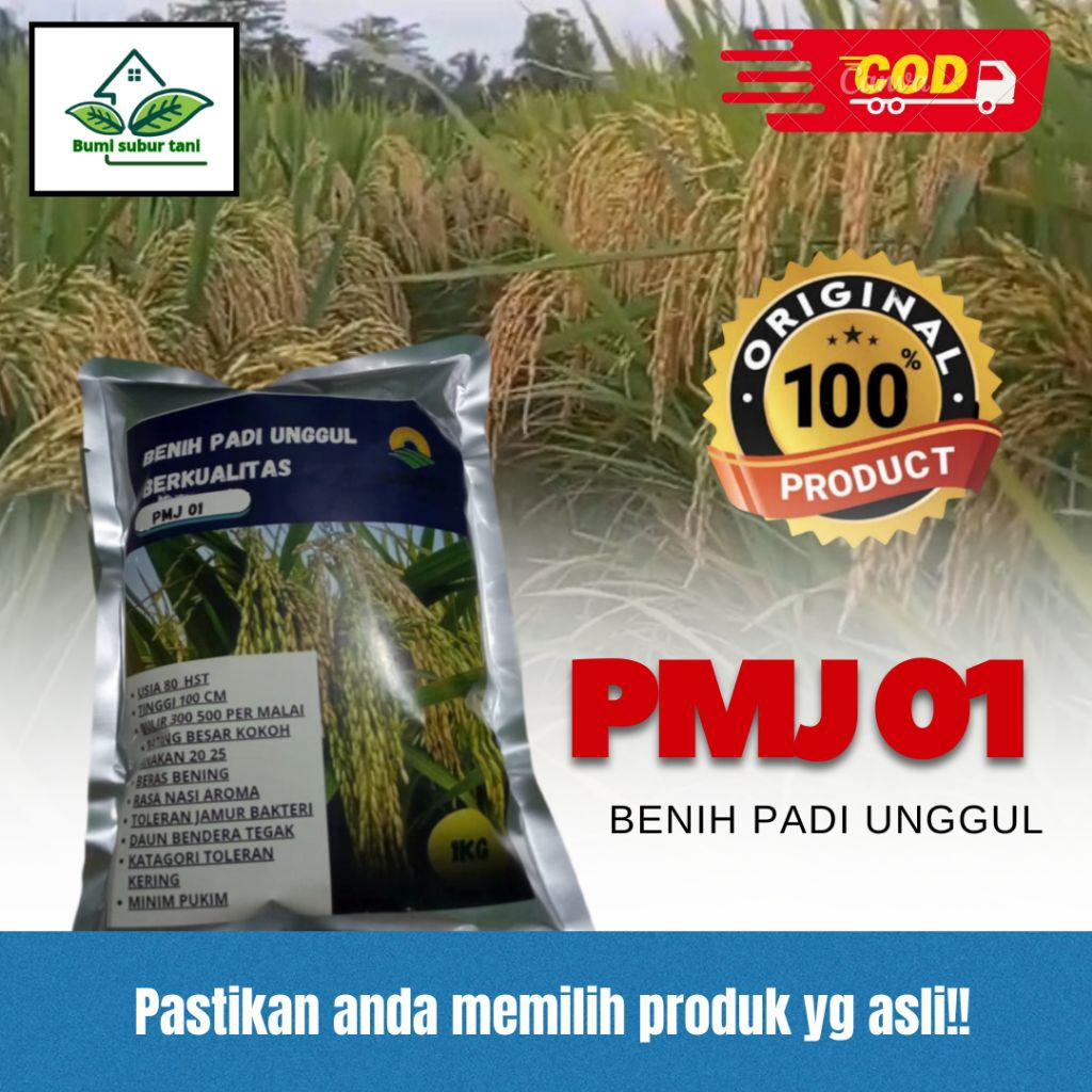benih/bibit padi unggul pmj01 1kg