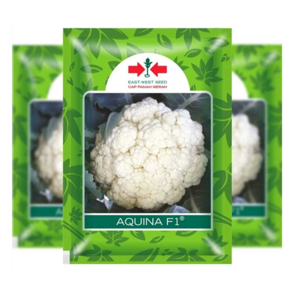 Bunga Kol AQUINA 10Gr / Bks