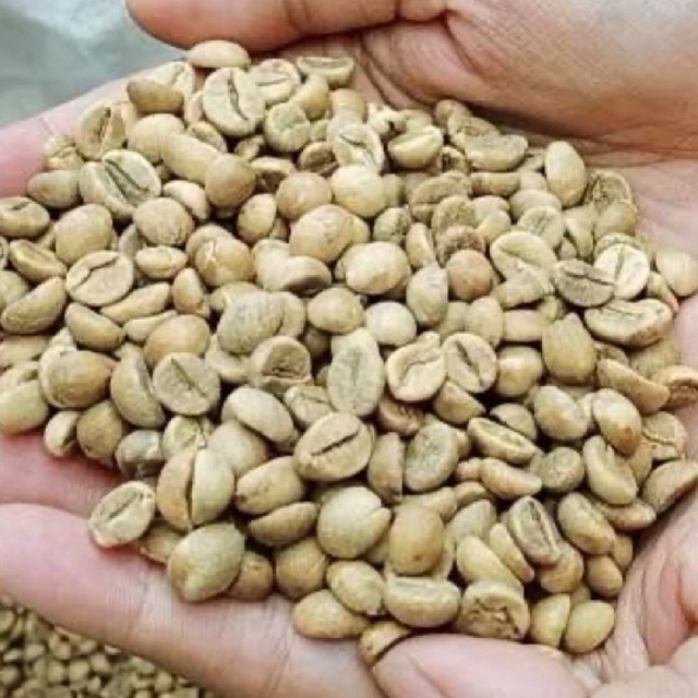 BIJI KOPI MENTAH 1KG