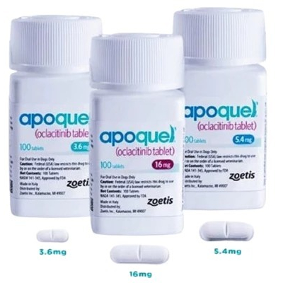 Obat Gatal Pada Anjing Apoquel Tablet Anti Dermatitis Alergi Jamur Scabies 10 tablet