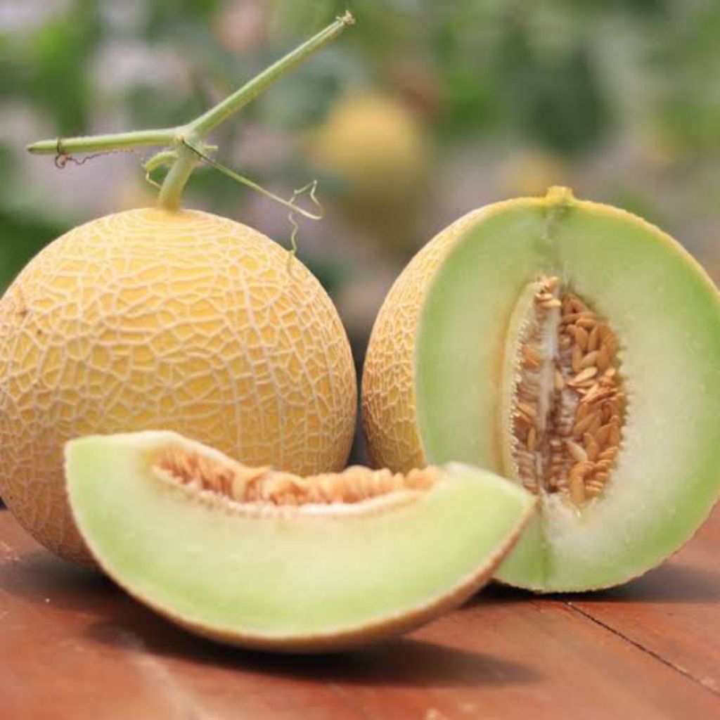 Melon Golden Ithanon / Melon Premium / Per bulat Kurleb 1kg