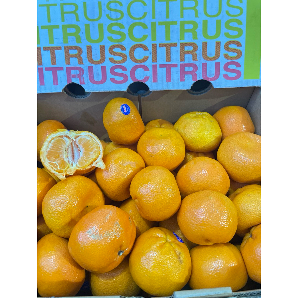 jeruk afourer mandarin