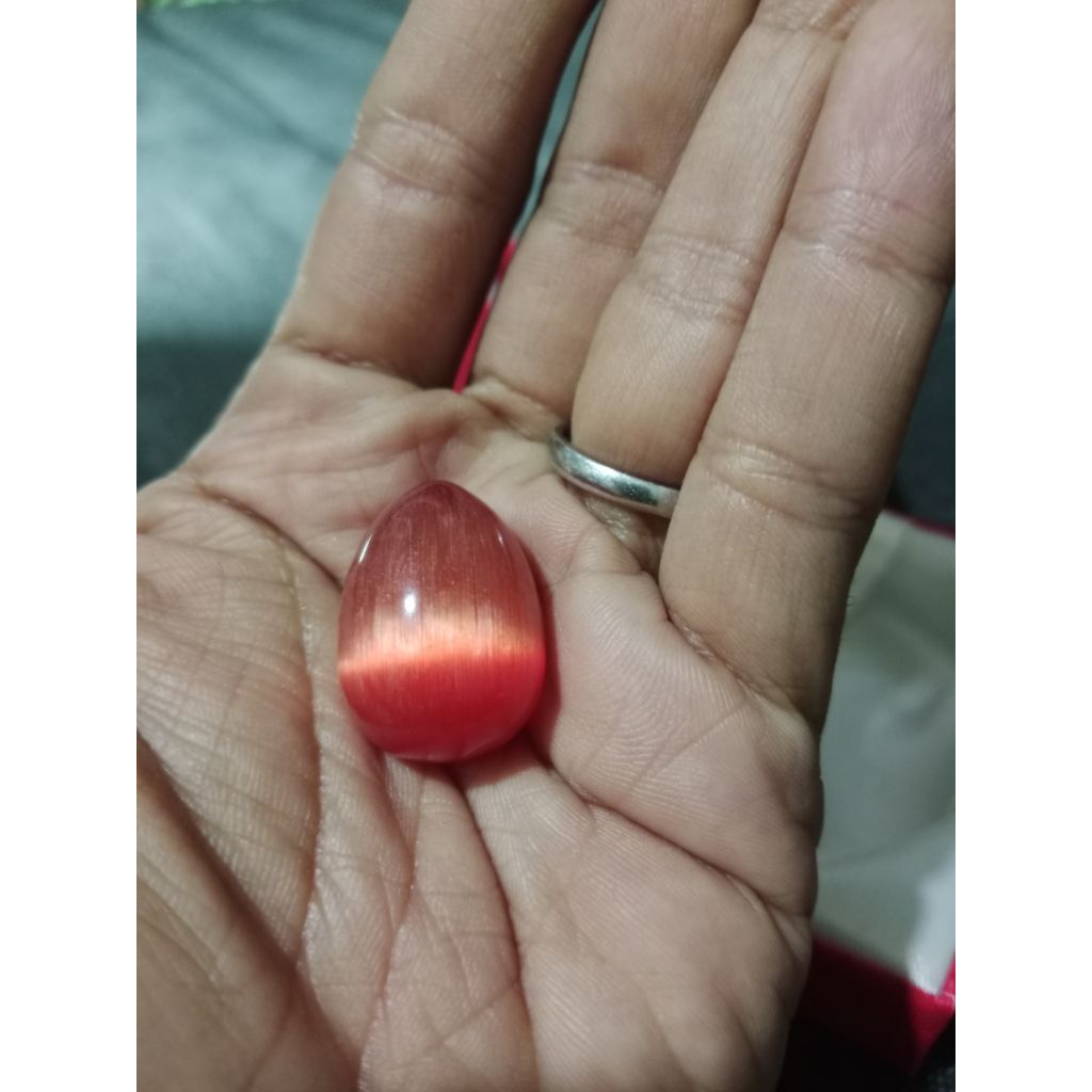 Mustika Cendrawasih Papua