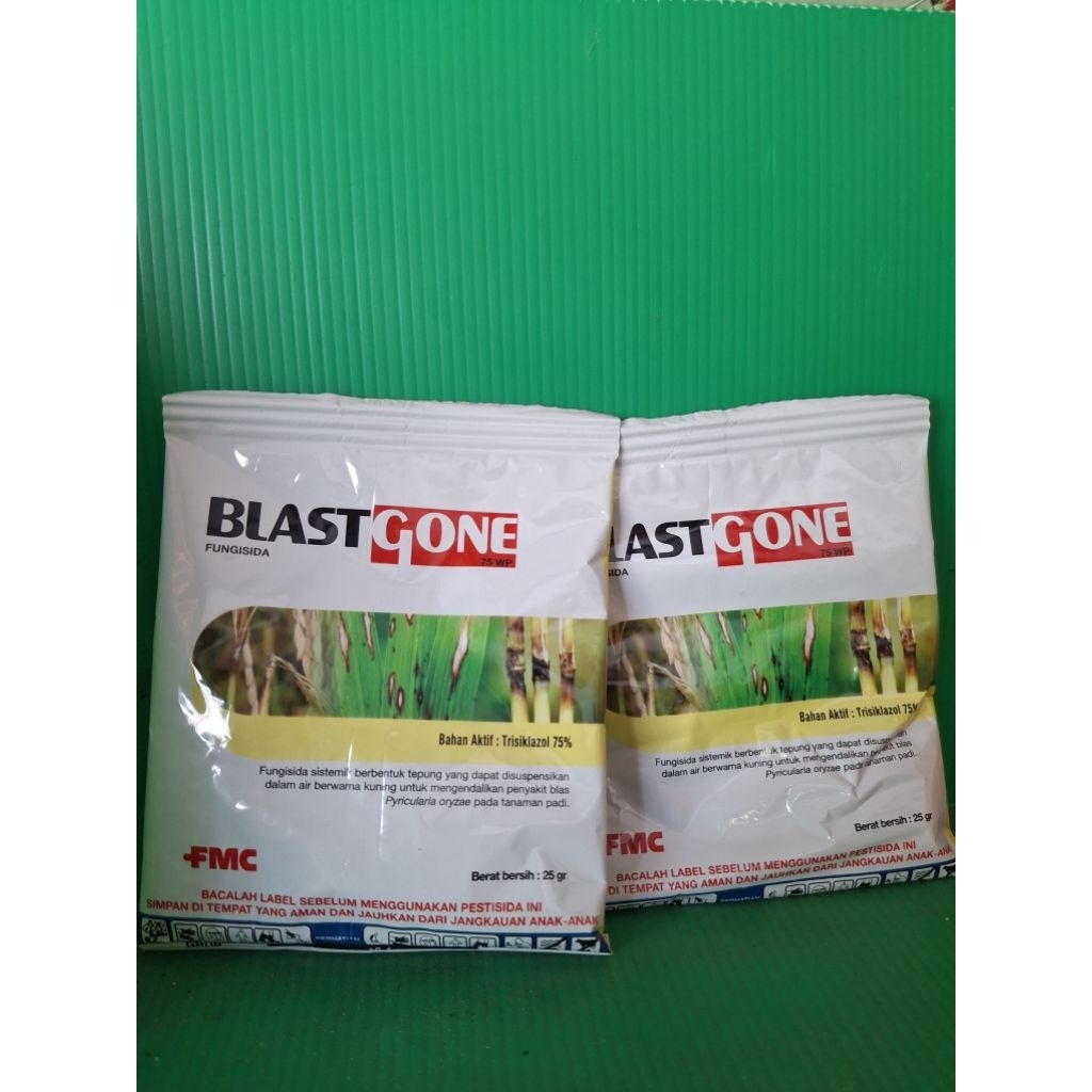 Fungisida BLASTGONE 75 WP 25gr