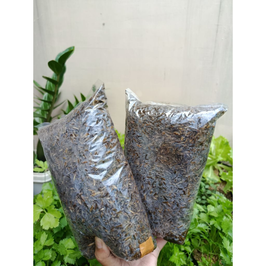 Media Tanam Sekam Matang Fermentasi/sekam fermentasi/media tanam/sekam matang/sekam