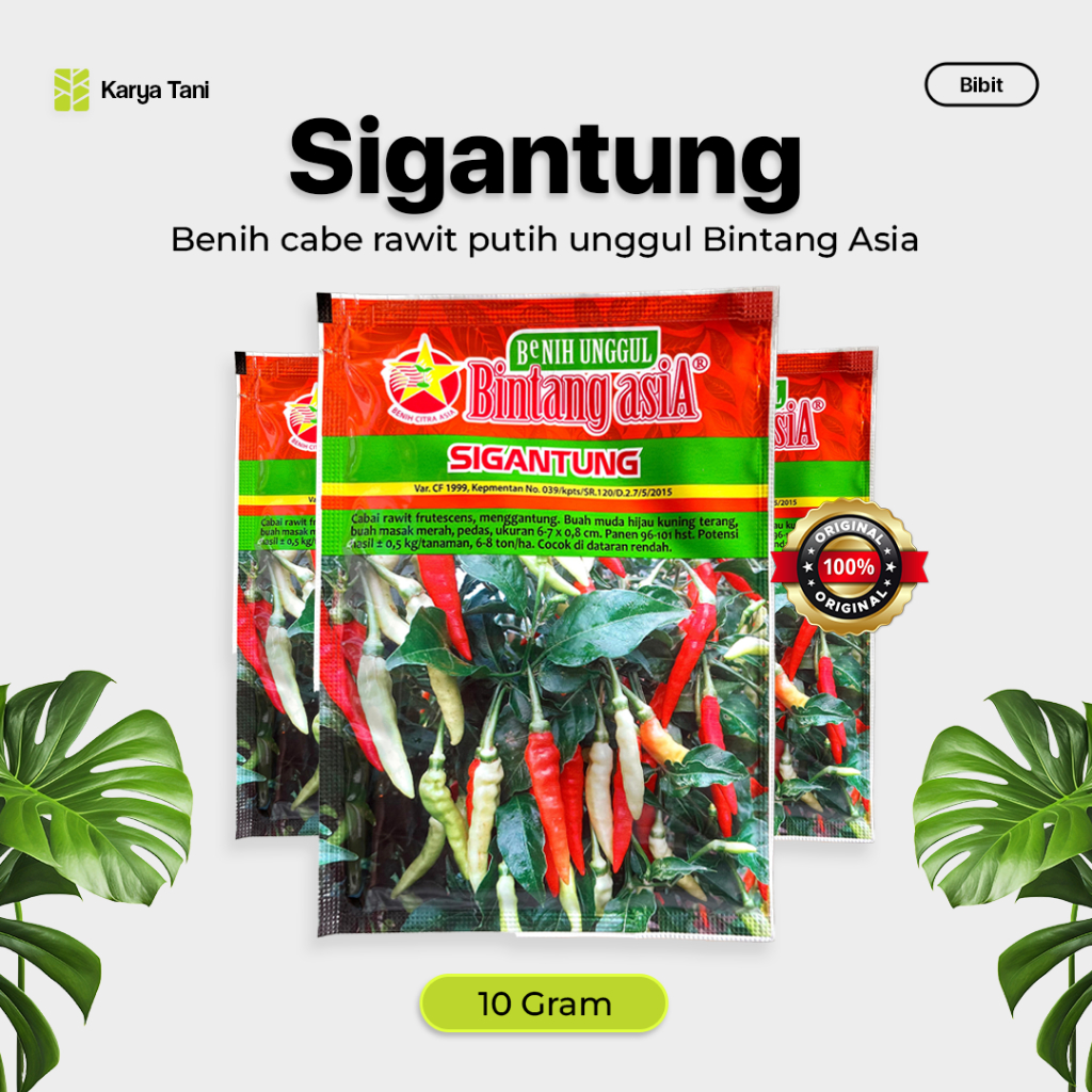 BENIH CABE RAWIT PUTIH SIGANTUNG / CABE SETAN 10 GRAM BINTANG ASIA