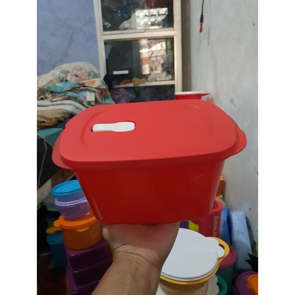 Tupperware BYO tempat makan dewasa warna biru merah