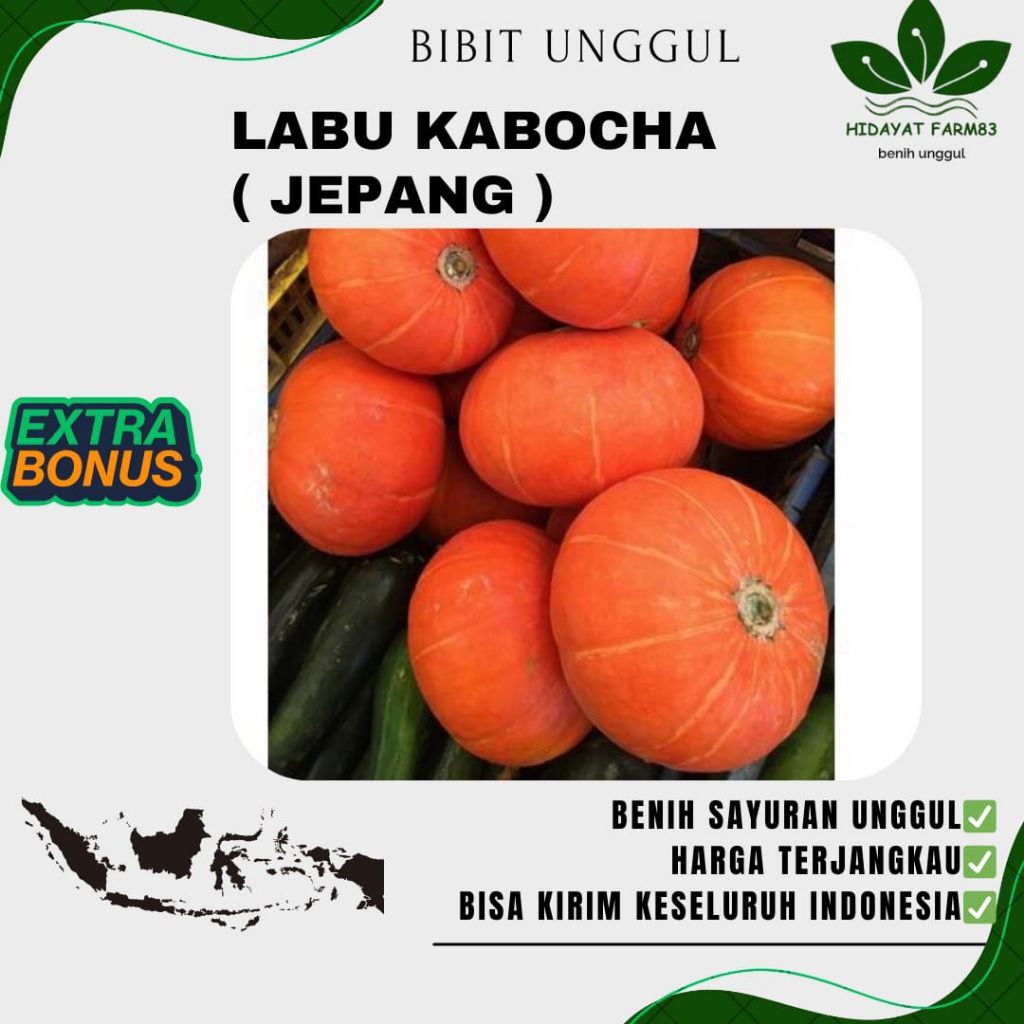 Benih biji LABU KABOCHA | LABU JEPANG UNGGUL
