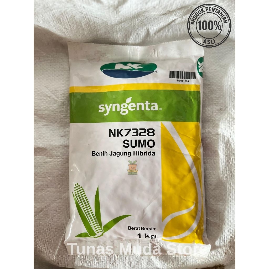 Sygenta NK7328 SUMO benih jagung hibrida