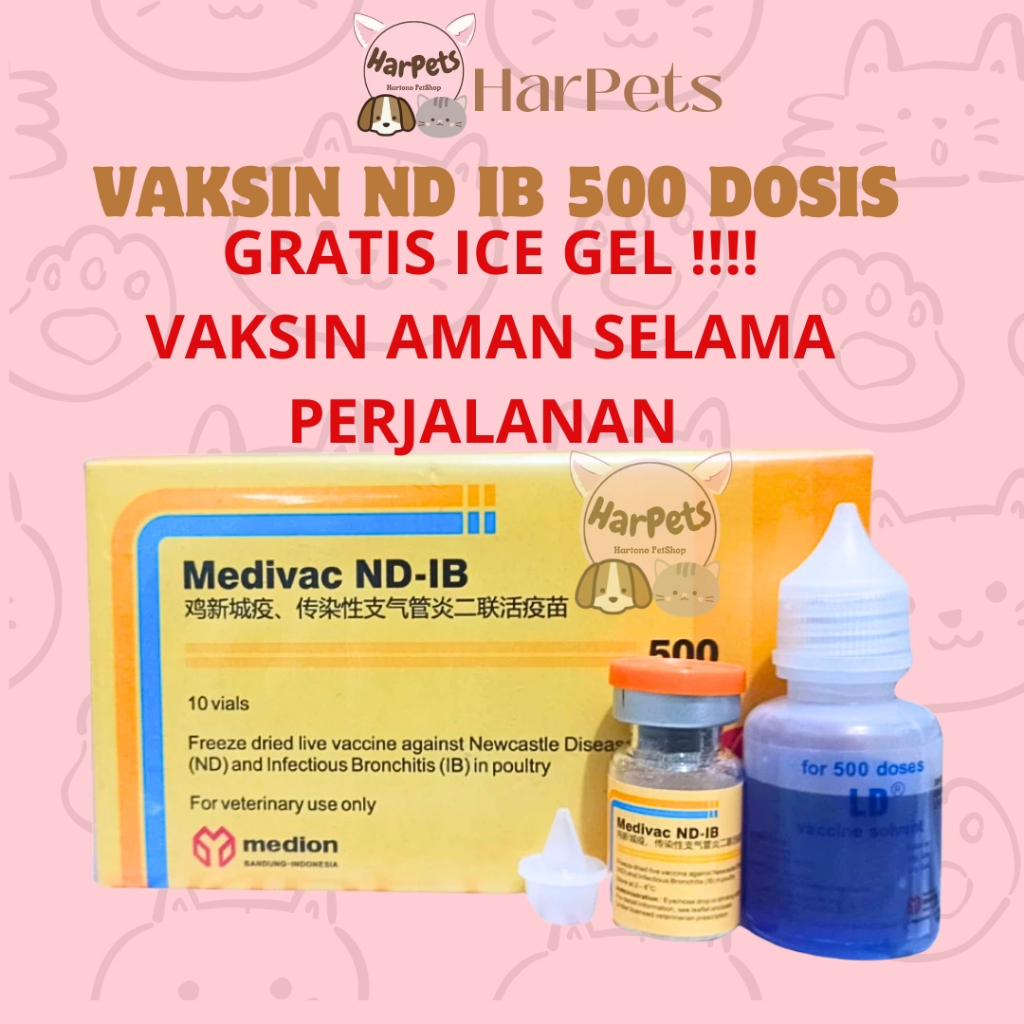VAKSIN MEDIVAC ND IB DOSIS 500 EKOR + PELARUT MEDIVAC MEDION Hewanpedia - Vaksin Ayam Tetelo dan Inf