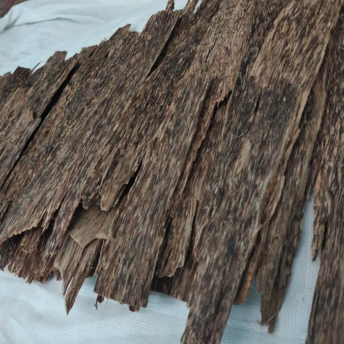 Kayu gaharu asli kalimantan