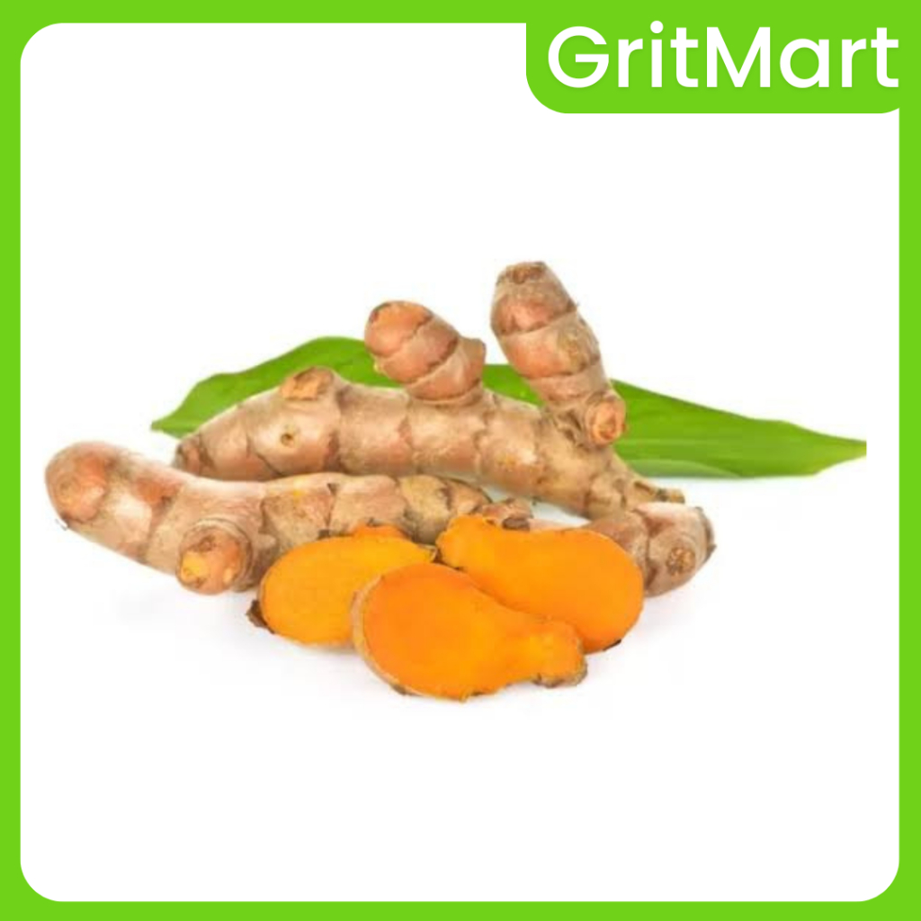 

Kunyit 250 gr I Kunyit Pewarna Alami I Rempah Dapur Multifungsi, Cocok Untuk Masakan & Jamu