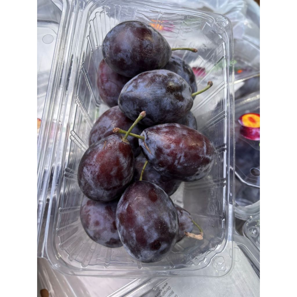 

Sweet Plum Pack / Honey Plum