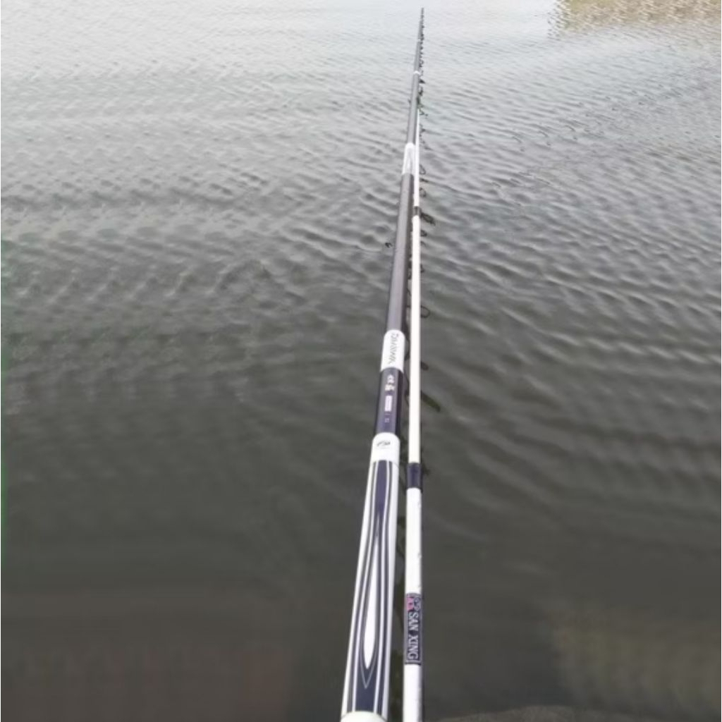 Joran Tegek Import Daiwa Hammon