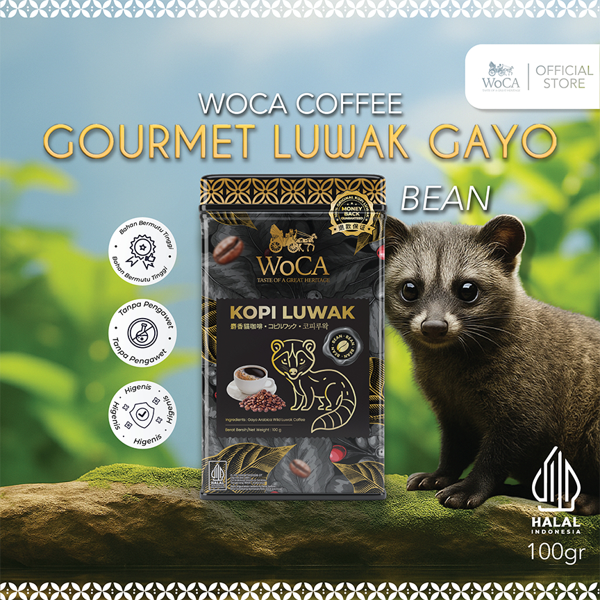 WoCA Gourmet Luwak Gayo Coffee Tin - Bean 100gr
