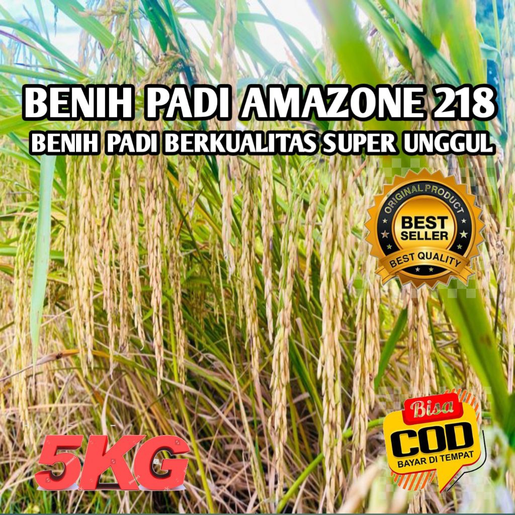 BENIH PADI AMAZONE 218 BERKUALITAS SUPER UNGGUL KEMASAN 5KG