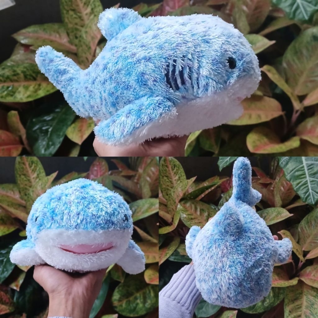 Boneka HIU Paus Biru Senyum Bulu Halus Lembut/ Boneka Petanco Whale Shark Plush Toy" Okinawa Churaum