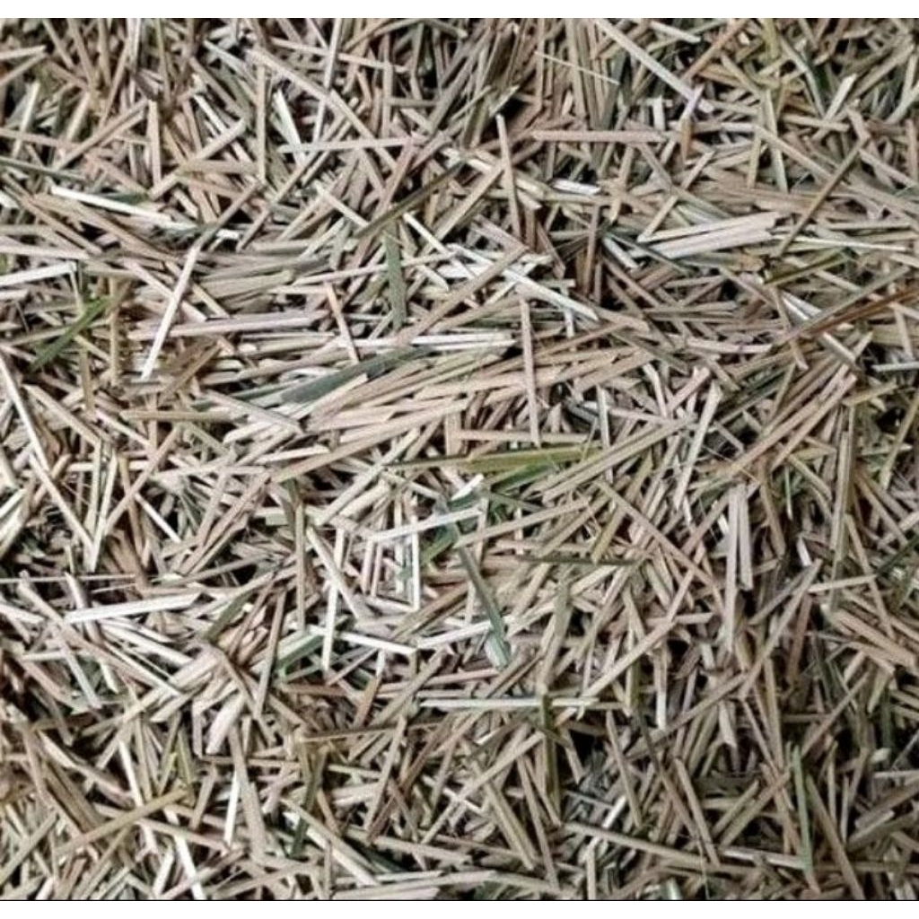 biting pepes ikan,lontong,botok,tape dll