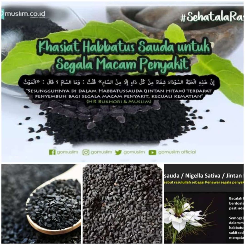 Biji Jintan Hitam Habbatussauda 1kg