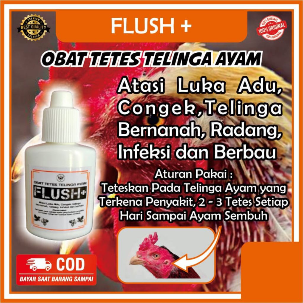 Obat Ayam FLUSH+, Obat ayaam Sakit Telinga Mengatasi Luka Terkena Jalu dan Infeksi Bernanah