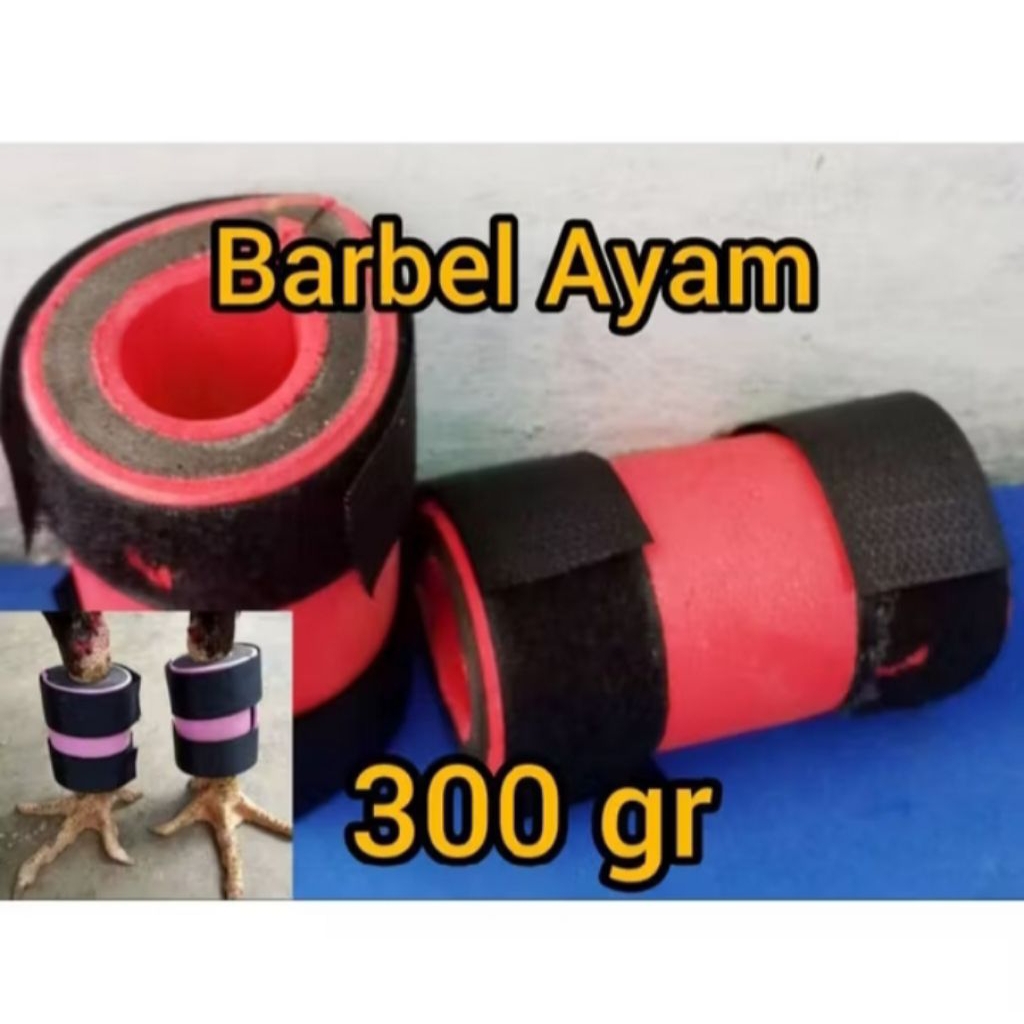 BARBEL AYAM BANGKOK 300 gram PLUS AYAM PETARUNG BARBEL AYAM ADUAN