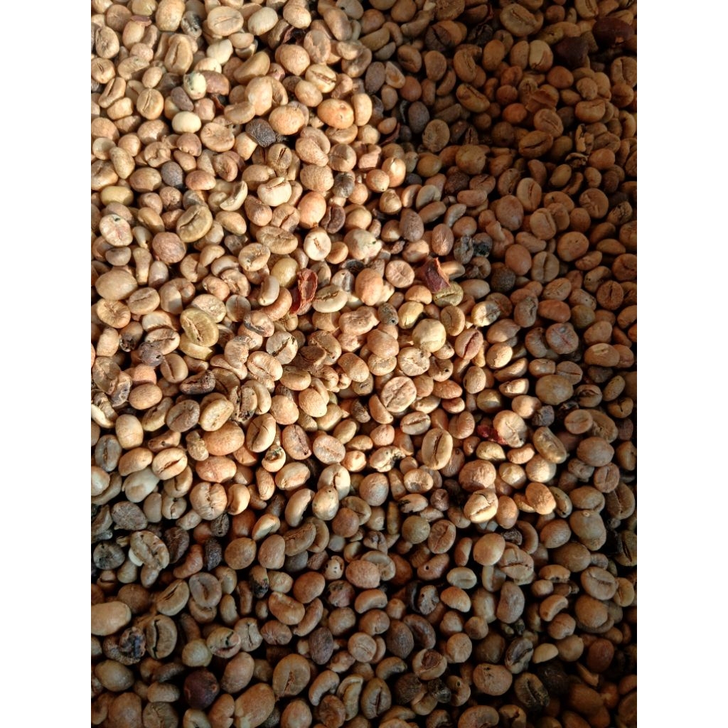 

kopi lampung (robusta)