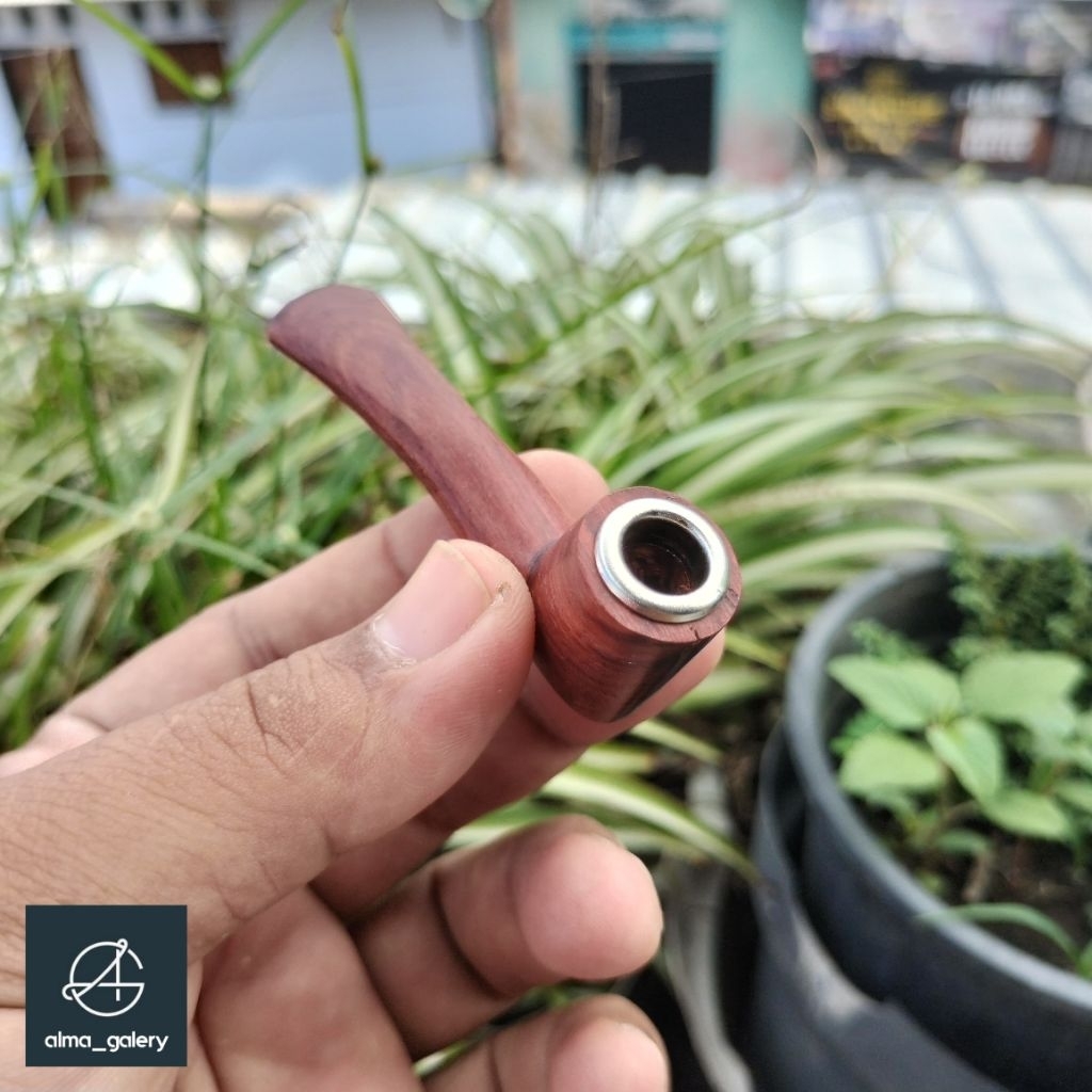 GALERY_ALMA once cangklong kayu nagasari