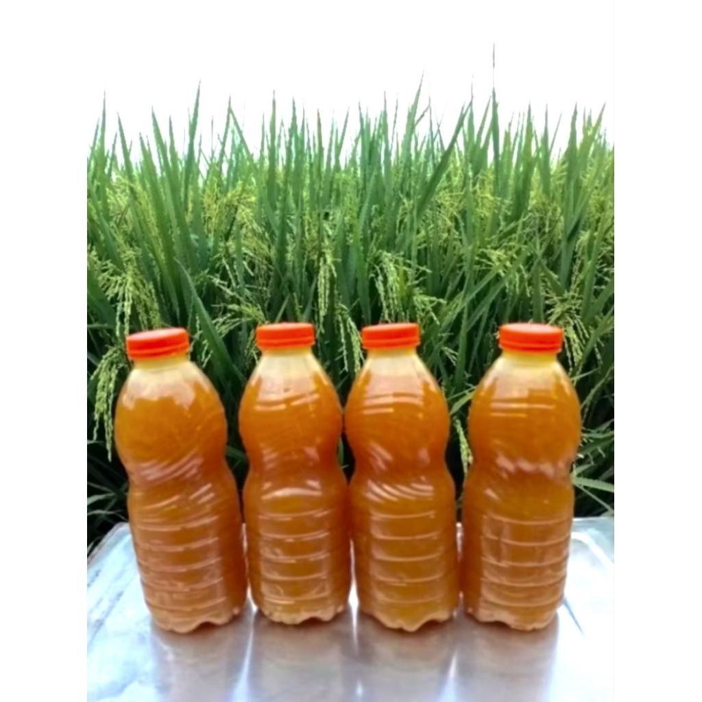 Lem Fox Premium Lem sandal ,Lem tas ,Lem sepatu super kuat 220ML